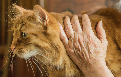 Mom with cat