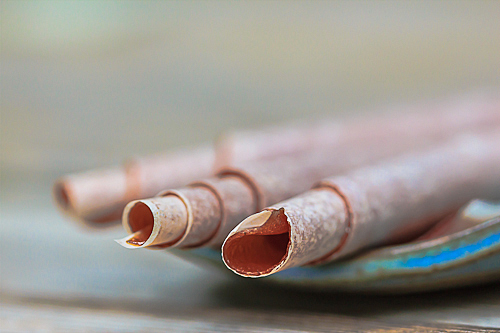 Fruit Leather - rolled and ready to eat - The Messy Baker