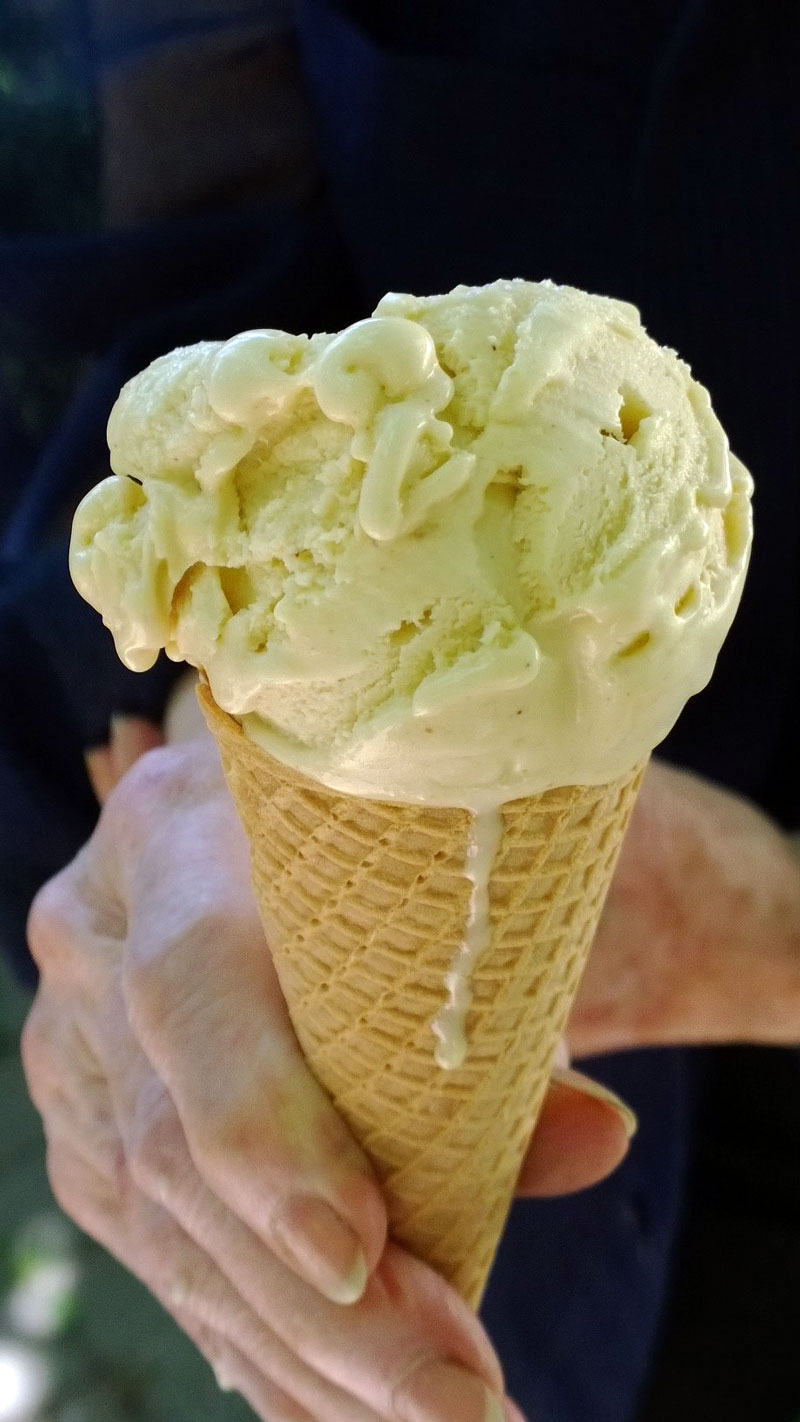 Homemade Hazelnut Gelato by The Messy Baker