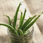 Green Beans in a jar.