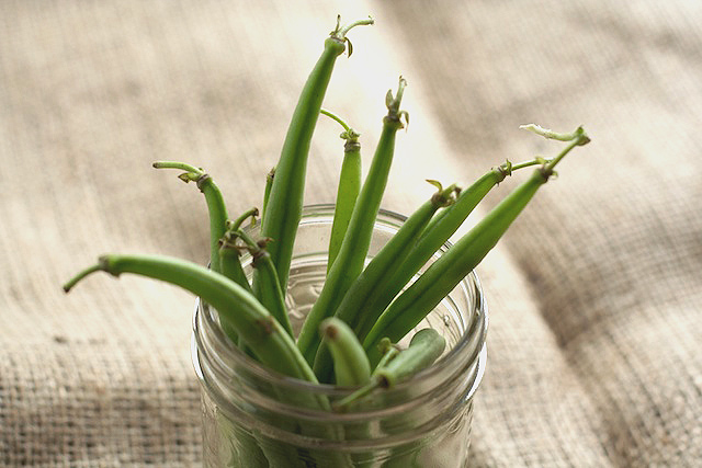 Green Beans in a jar.