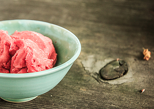 How to Make Instant Frozen Yogurt in the Blender - Crumb: A Food Blog