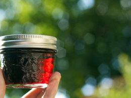 red wine jelly