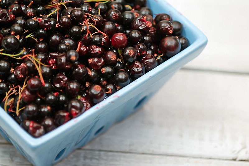 Black currants for making jam by The Messy Baker